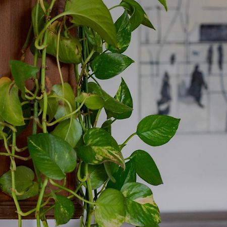 טורינו Casa D'Artista - Charming Apartment + Parking מראה חיצוני תמונה
